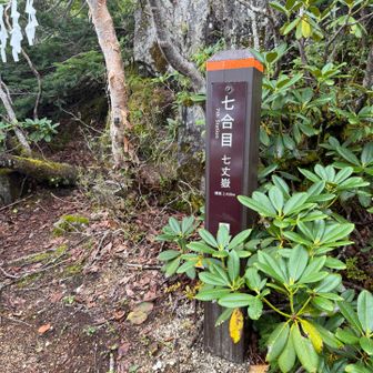 そのまま七合目へ