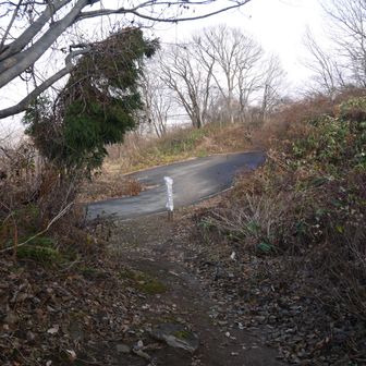 こっちにも車がない