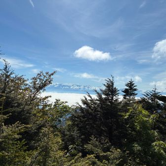 岩場から南アルプス方面望みましたが富士山は見れませんでした