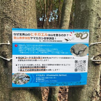最近設置されたのかな？
