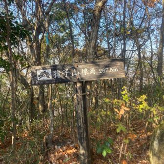 猪子山山頂到着🙌。