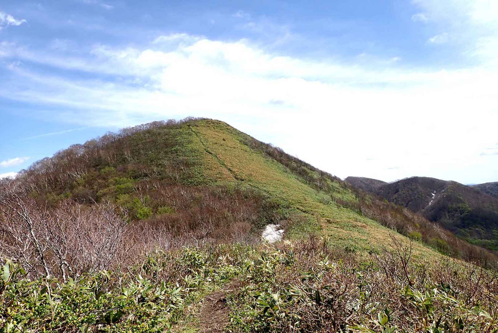 駒木立