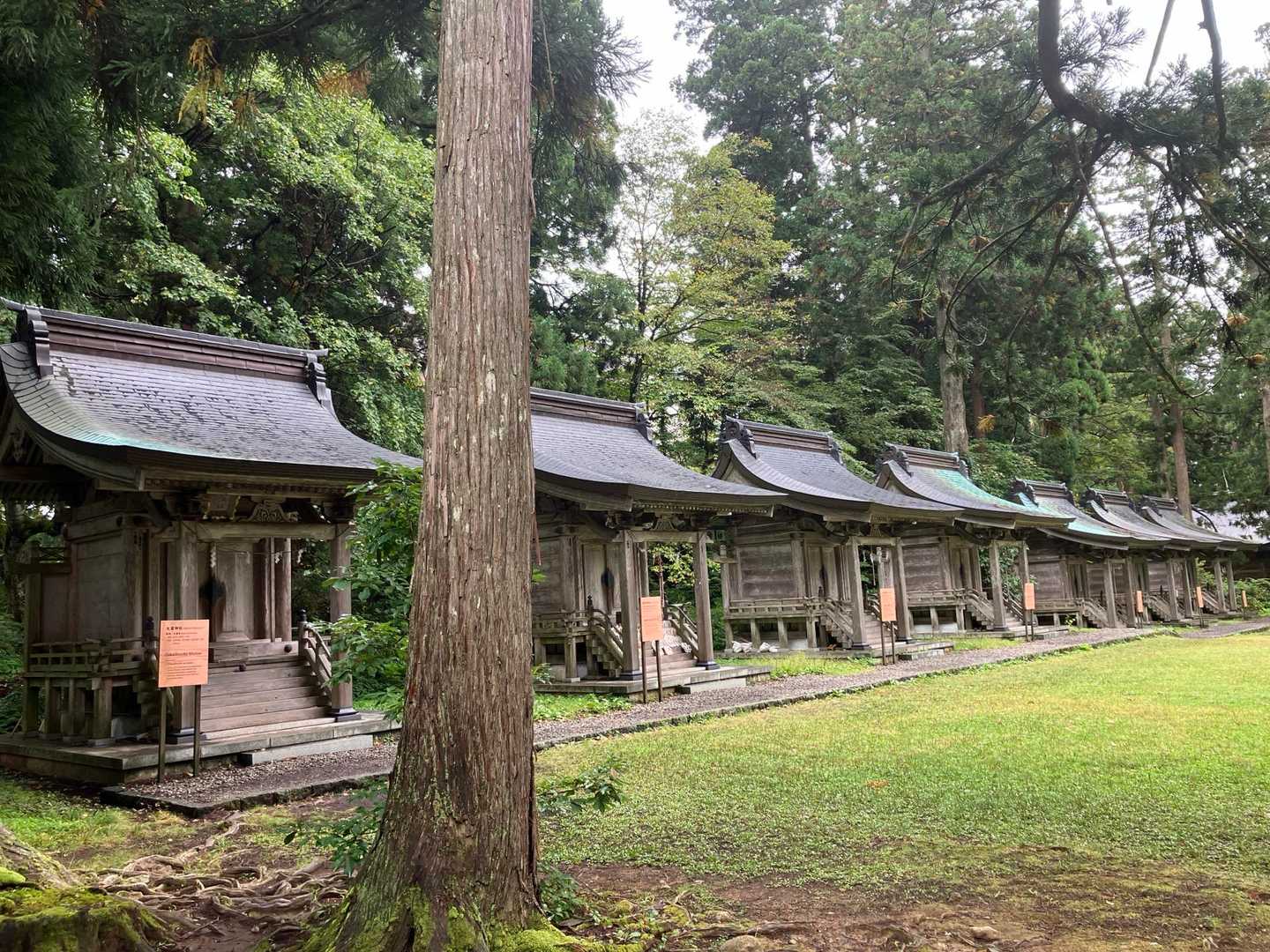 羽黒山登山口-羽黒山 五重塔-休憩所-出羽三山神社 往復コースの写真