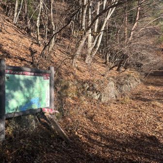 俺はここから大石峠に向かいます