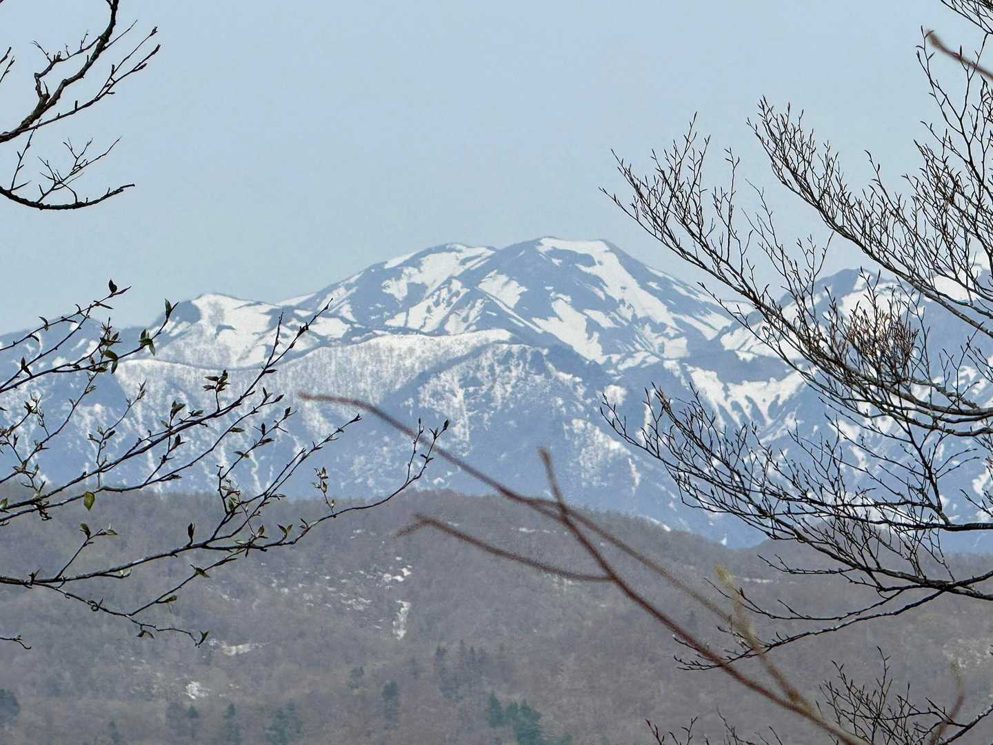 木々の間から👀

仙ノ倉と平標の辺りかな🤔