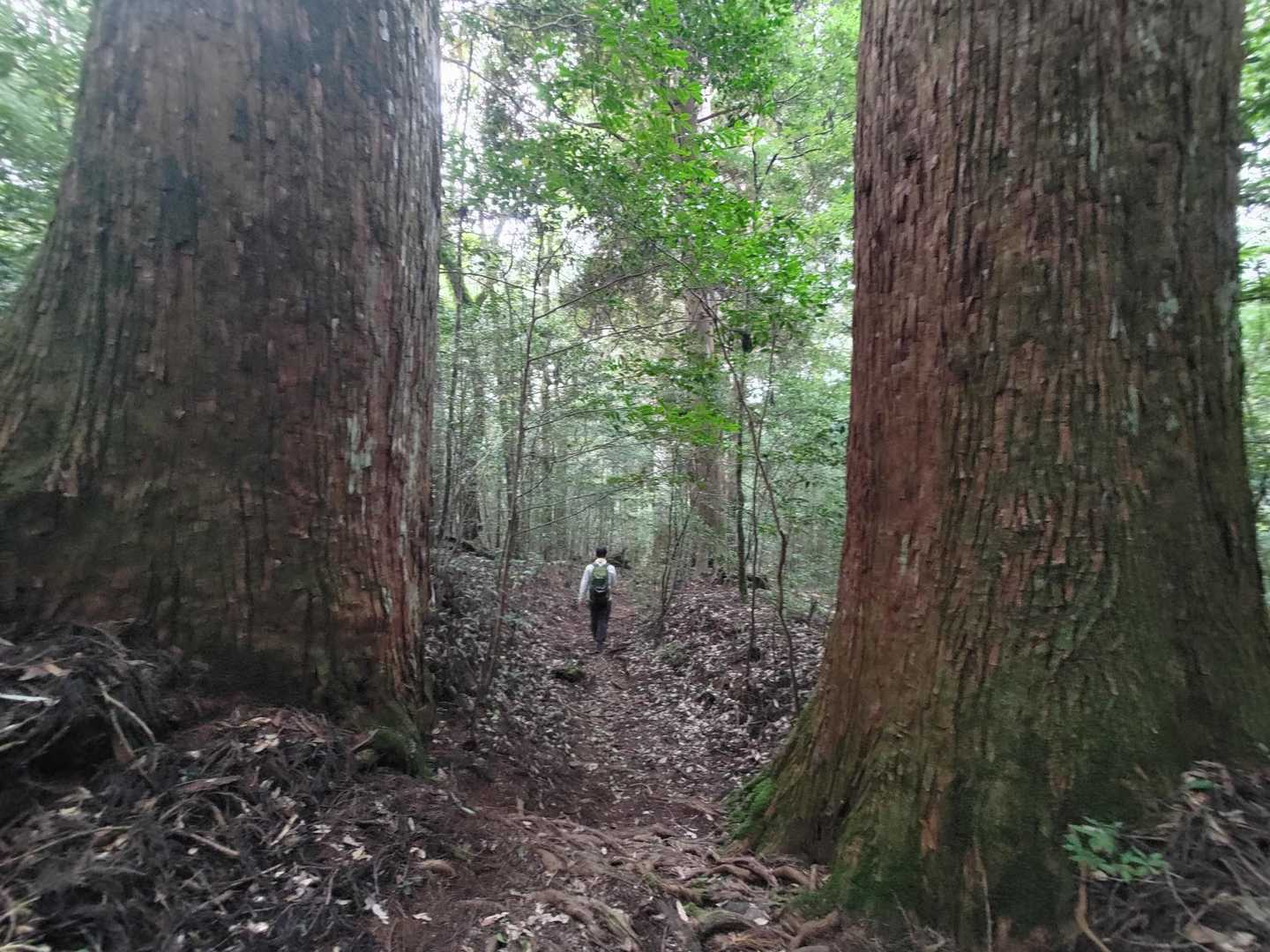 ケガなく無事下山でき、
ありがとうございました😊
