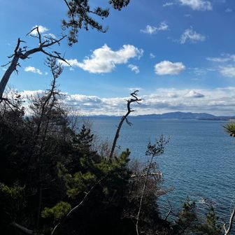 対岸の山々　よく登る🏔️が見えてる