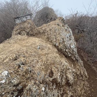 鬼ケ岳　それっぽい山頂
丸い岩岩軍団
通路状のピークです

YAMAP見てたら、毛無山、十二ヶ岳やって、十二ヶ岳から下山するか、ここから下るコース取りが多い
私はとりあえず次の鍵掛峠まで進みます