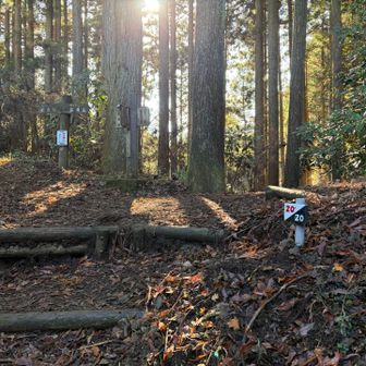 20/20だけど山頂ではなく、いわわきの道のゴール
ダイトレとの合流地点