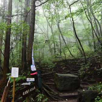 登山口到着