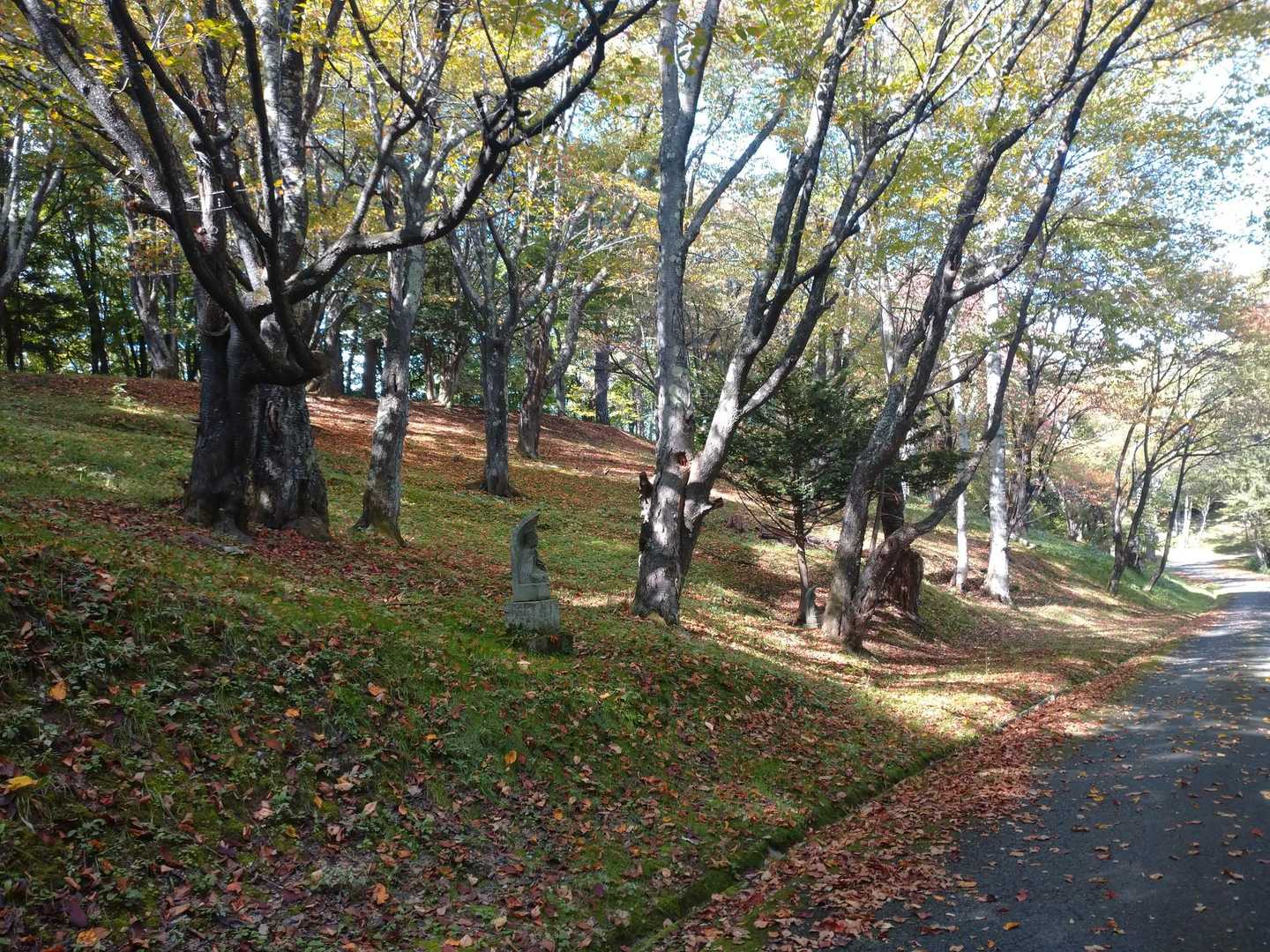 なまこ山 往復コースの写真