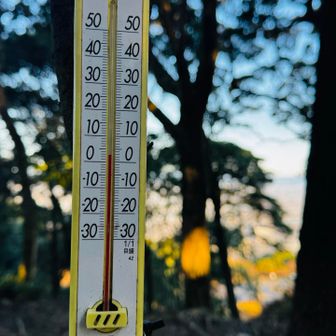 3℃  冷えてます。