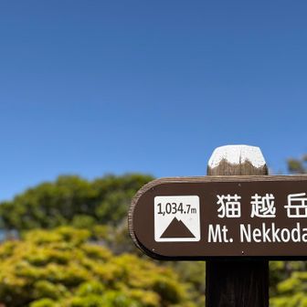 猫越岳