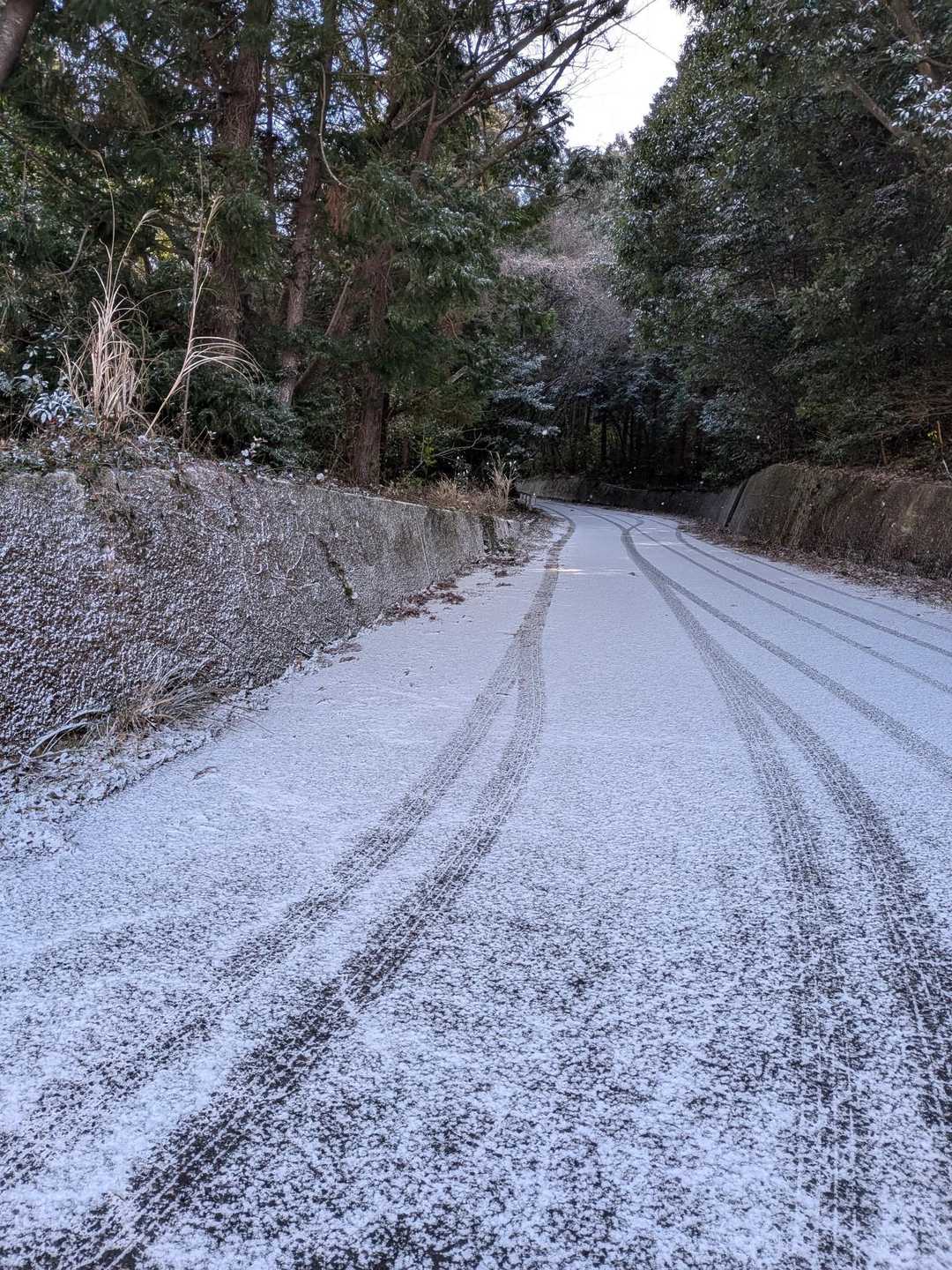 登山口へ曲がったところ。
やっぱり置いてきてよかった…🚗