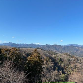 大岳山、奥之院、御岳山、川苔山がよく見えます