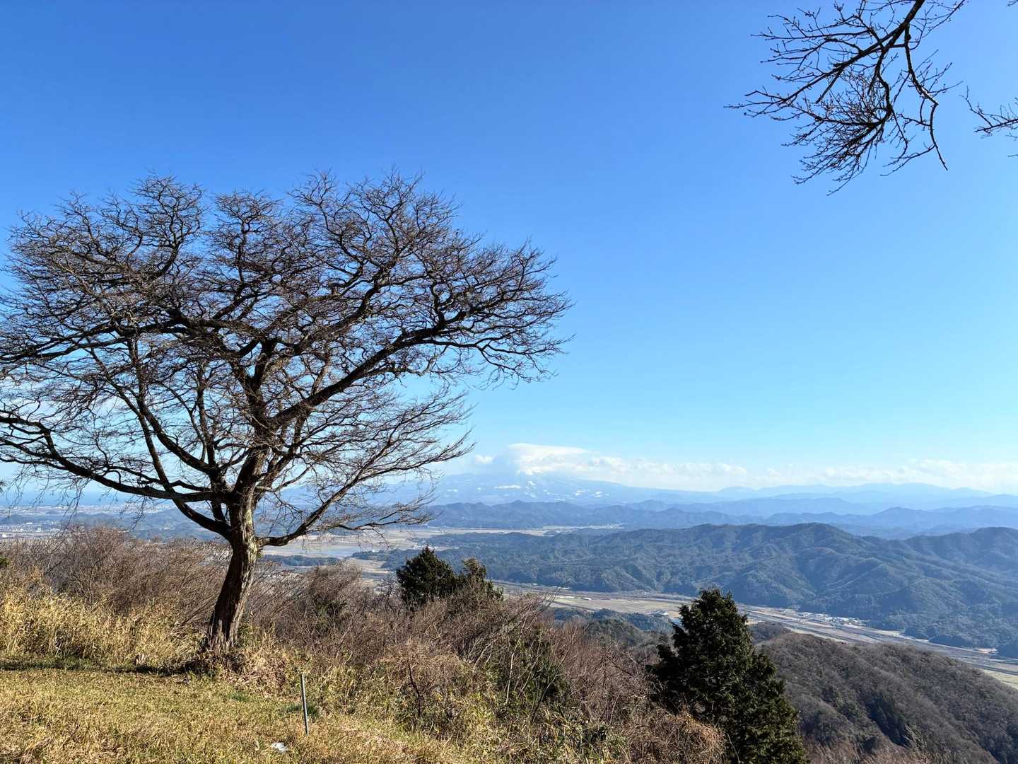 山頂でも、大山☁️