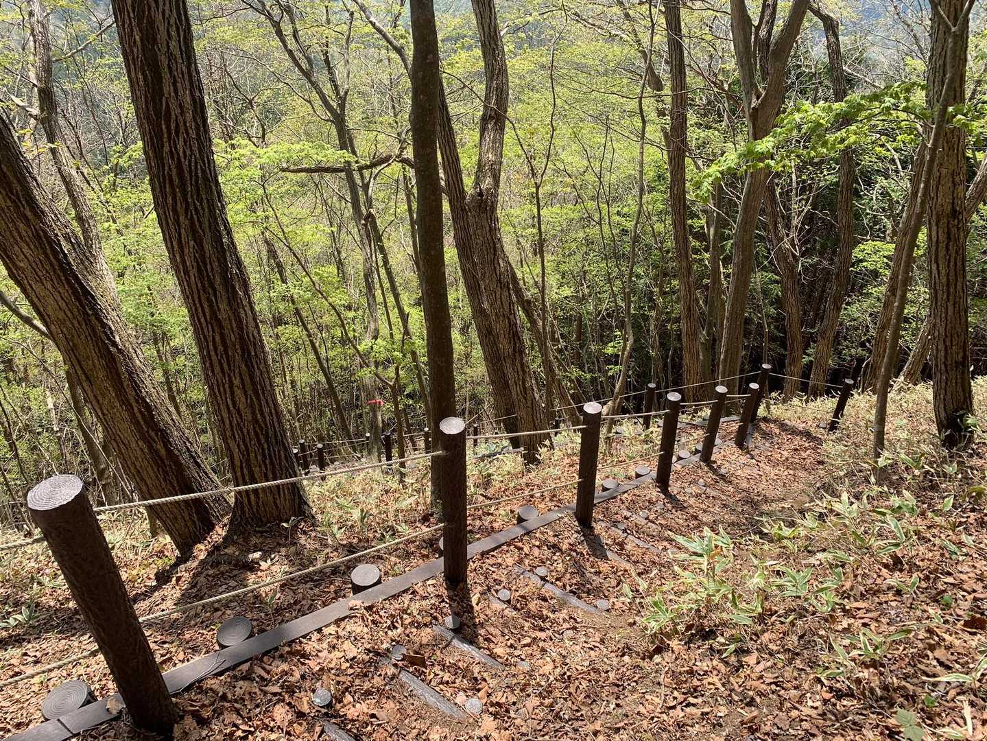 下山は整備されている道です