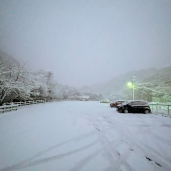 明けましておめでとうございます。
私、昨日ついに50歳となりまして。いつまでも元気に山に登りたいものです。

さて、この積雪でも珍しく国道421号が通行止にならなかったので、宇賀渓駐車場にやってきました。５台ほど駐まってます