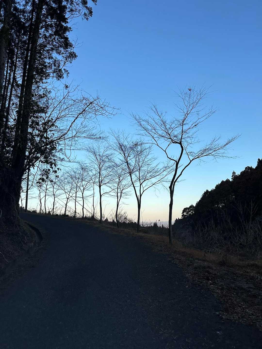 朝7時に自宅を出て、やってきました。
今日もよろしくお願いします。