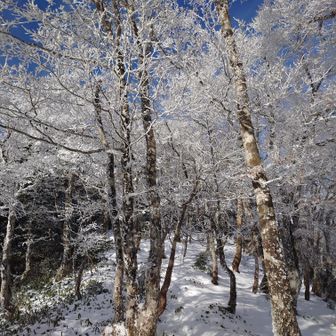 サイコーです👏
そしてあと少し頑張って