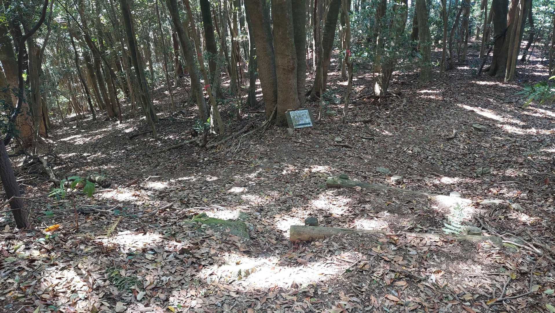 分岐点.右手桜谷遊歩道行かず左手の方へちょっと遠回りします👌😆
