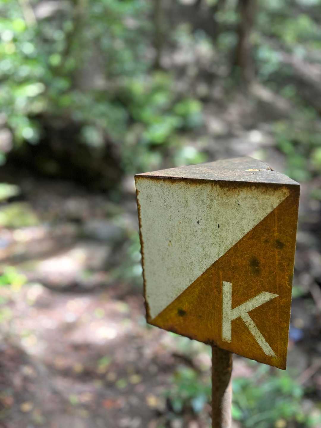 モーリーKのK発見