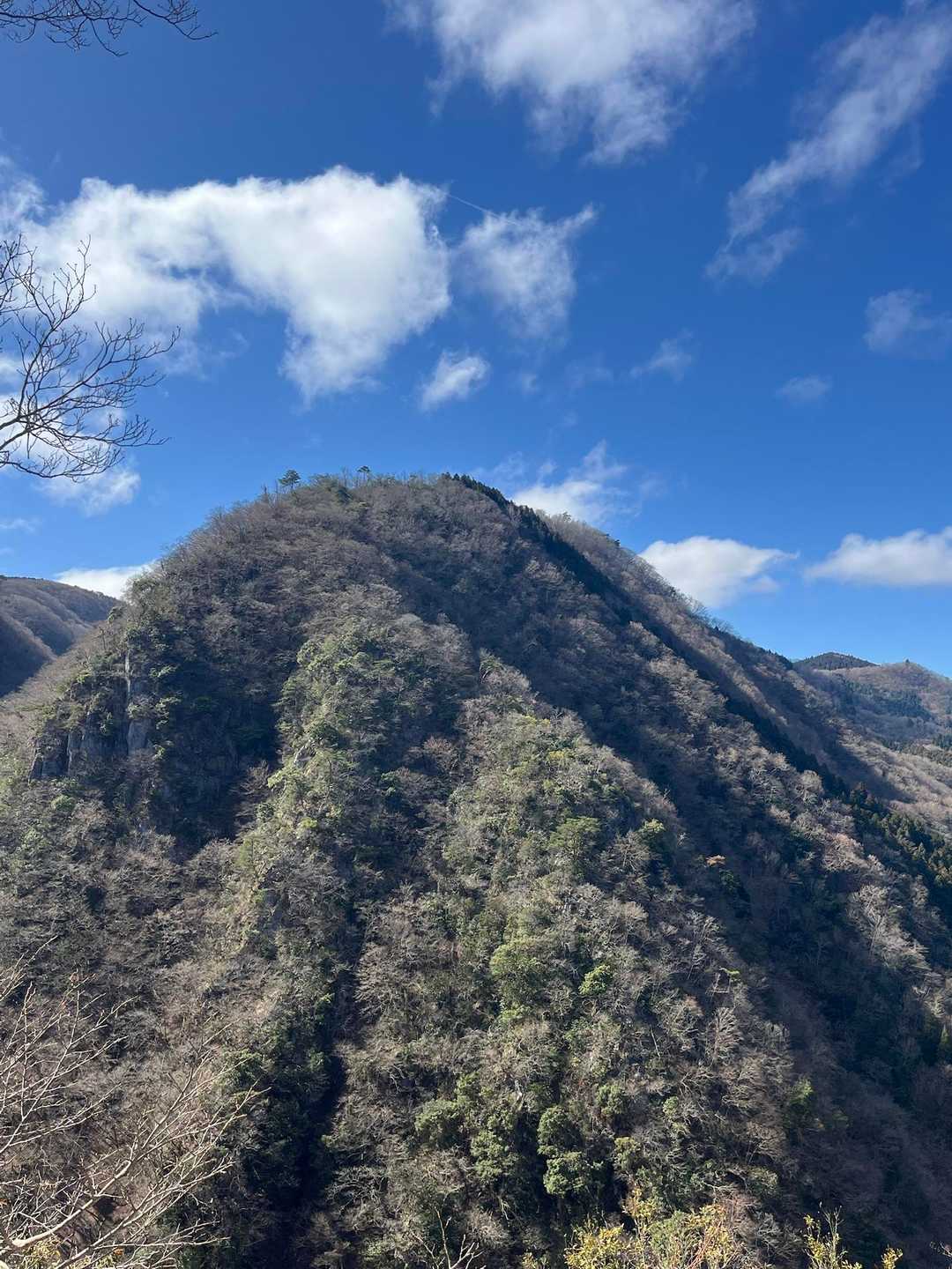岳の畑-鍋尻山 往復コースの写真