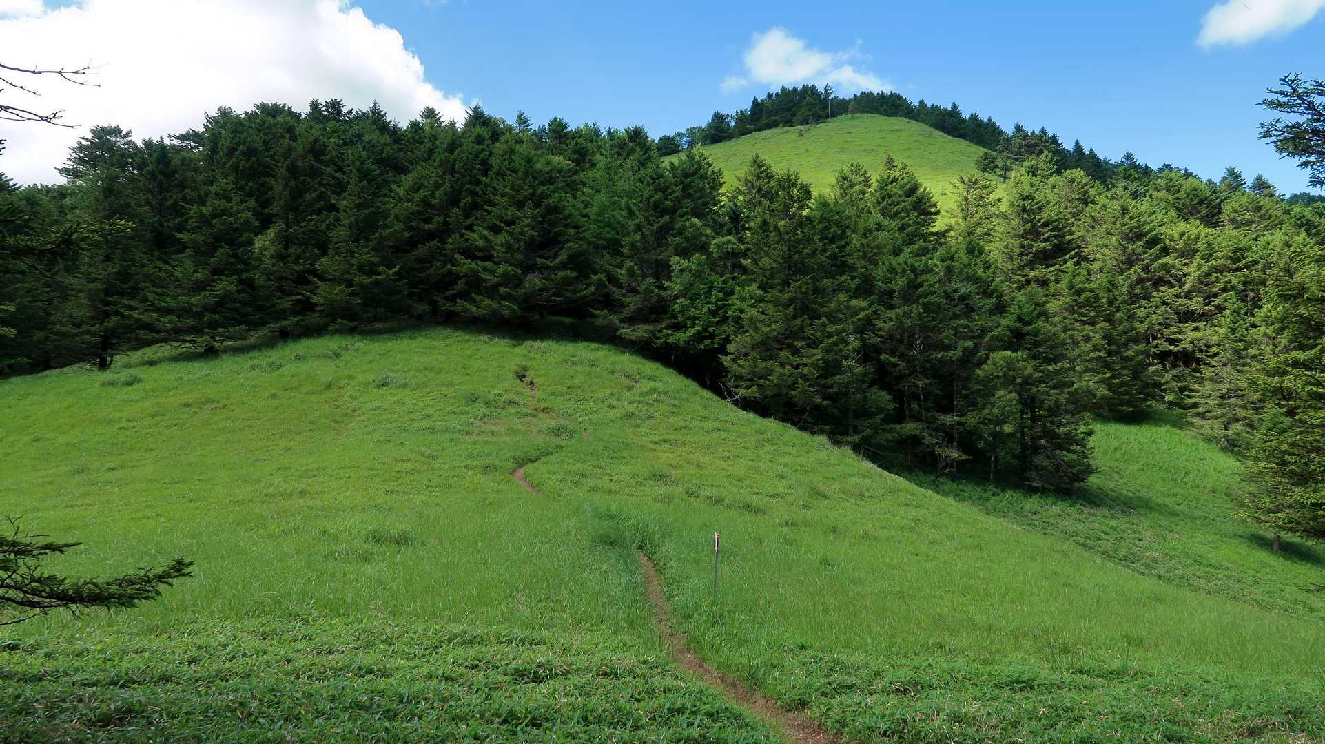 いいわ、夏の山