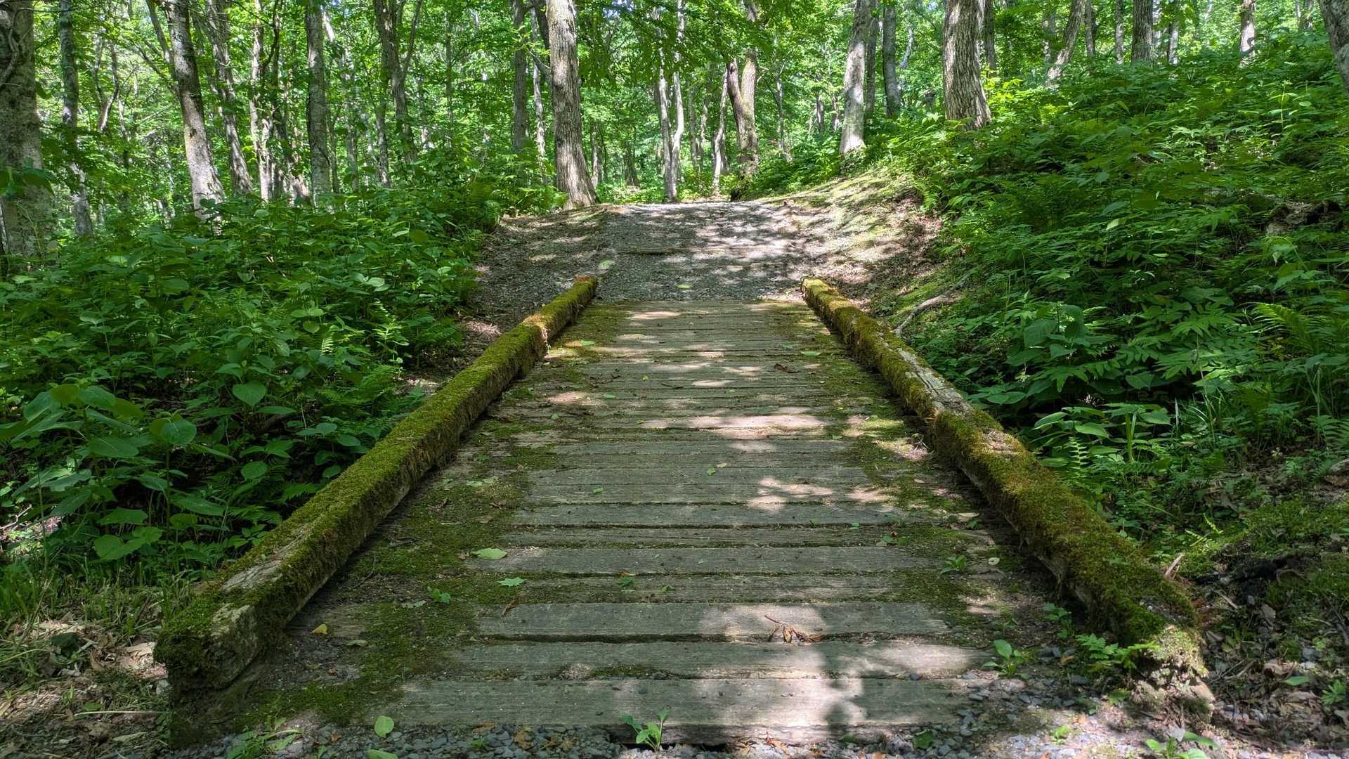 大びらき-階上岳 往復コースの写真