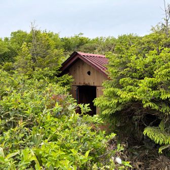 避難小屋…？中を覗こうと思ったけど獣がいたら怖いので遠目から笑