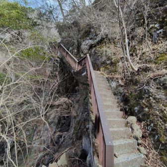 裏に 猿すべり と記載が有りました。