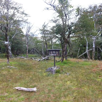 白鳥山山頂
■不士野
等級 :　二等三角点
緯度 :　32.462666806
経度 :　131.013797056
標高 :　1639.2m
COD :　TR24831505101
場所 :　熊本県八代市
訪問 :　2026年10月4日