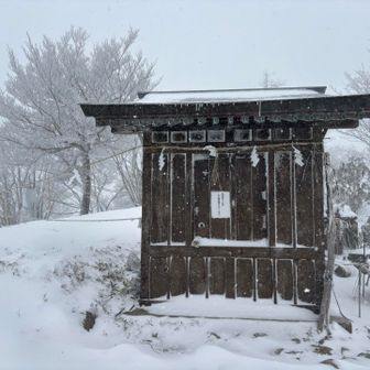 こちらも神聖な場所✨
立ち入り禁止🚧区域