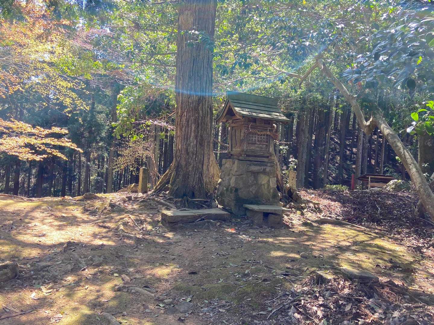 大歳神社