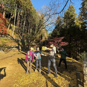 餌を待つ雛鳥🐣のように口を開けて構えるみんみんとわたし
ちょいと兄さん、砂混じってるんちゃう？😄
おっ！後でdodoさんもシャッターチャンスを狙ってる😆