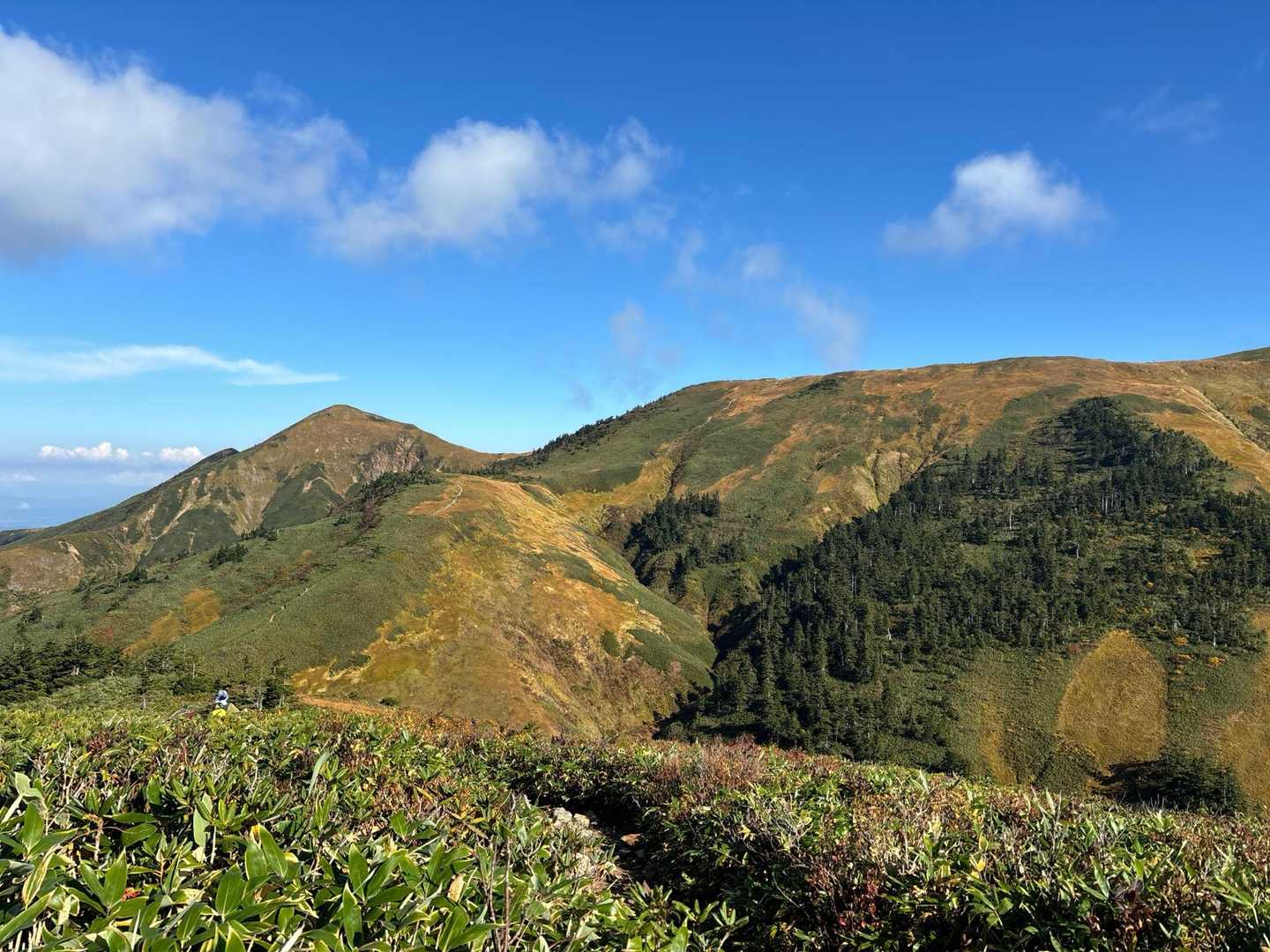 この時はよくわからなかったけど
山頂までの道がよく見えます