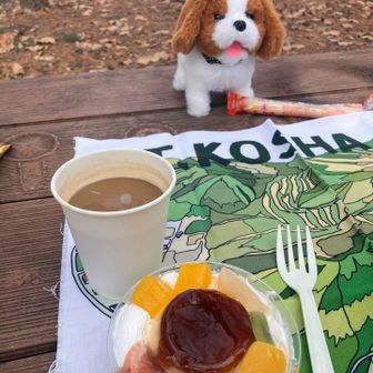 いただきまーす✨