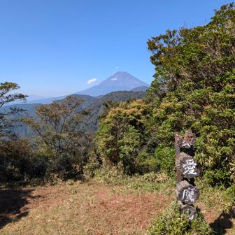 山頂ついたら絶景！
登ったご褒美😍