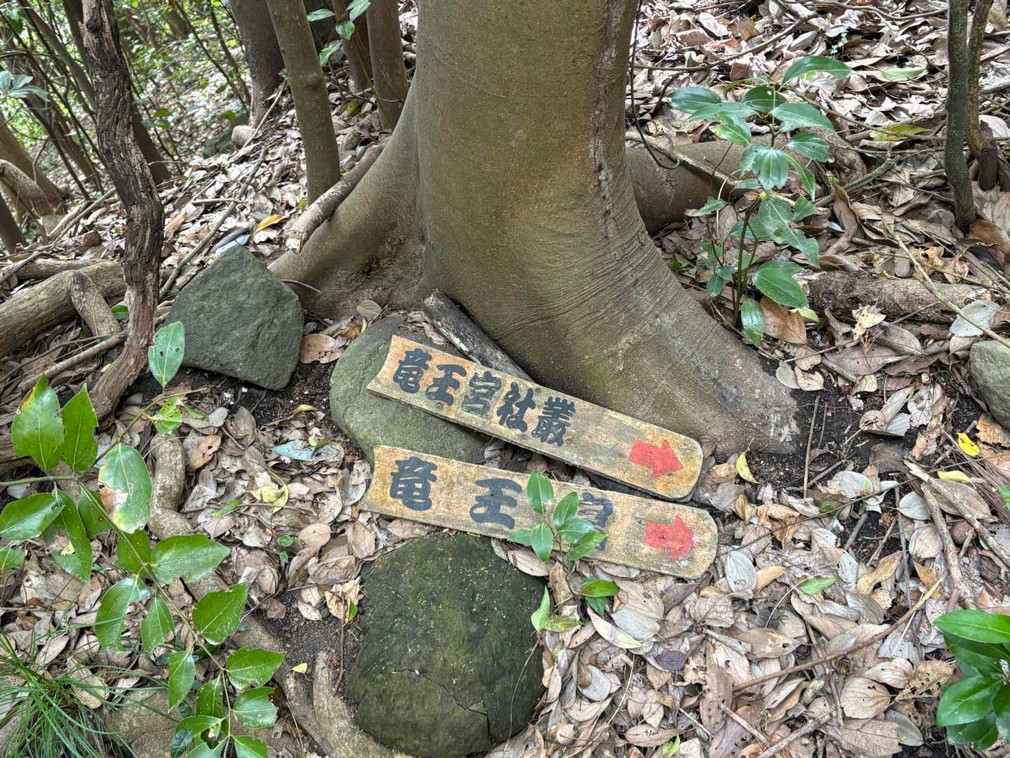 やっと登れたぁ^_^〜