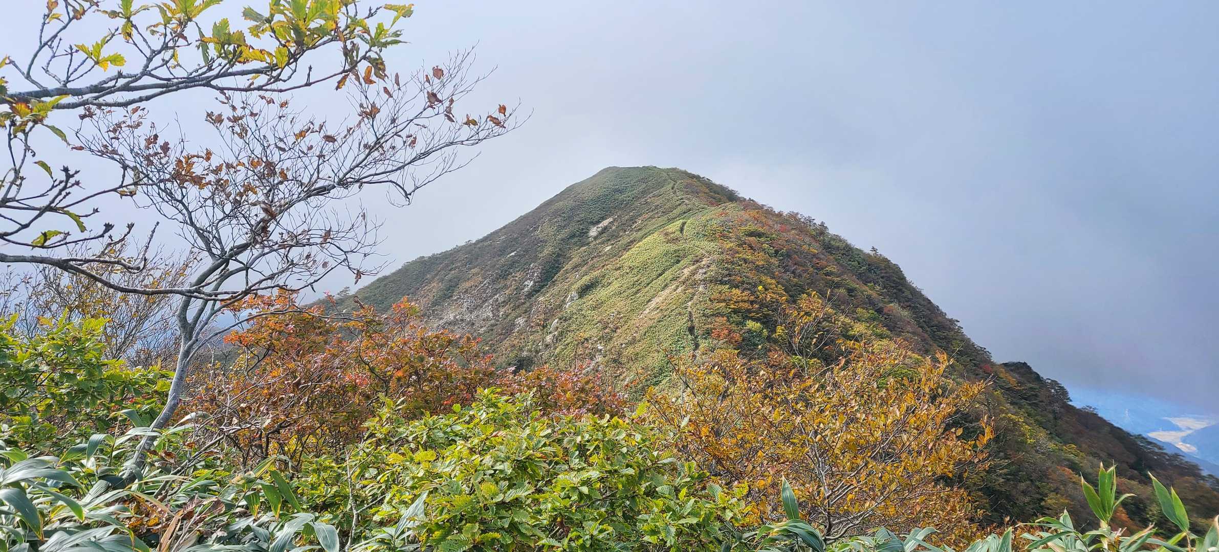 白倉岳-金草岳-冠山 往復コースの写真