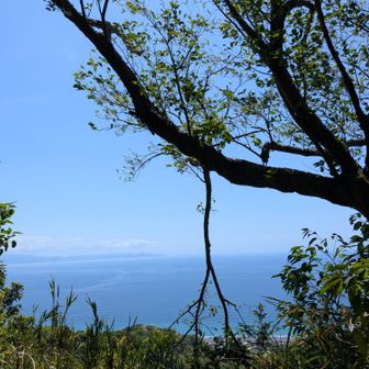 有度山（静岡・307m）| 登山ルート・天気 | YAMAP / ヤマップ