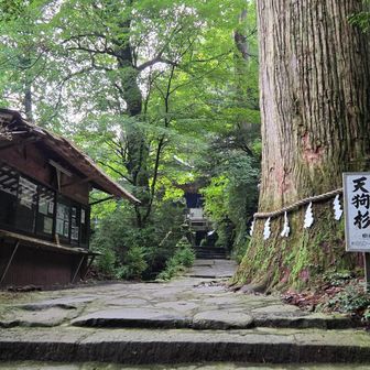 スタートはここ