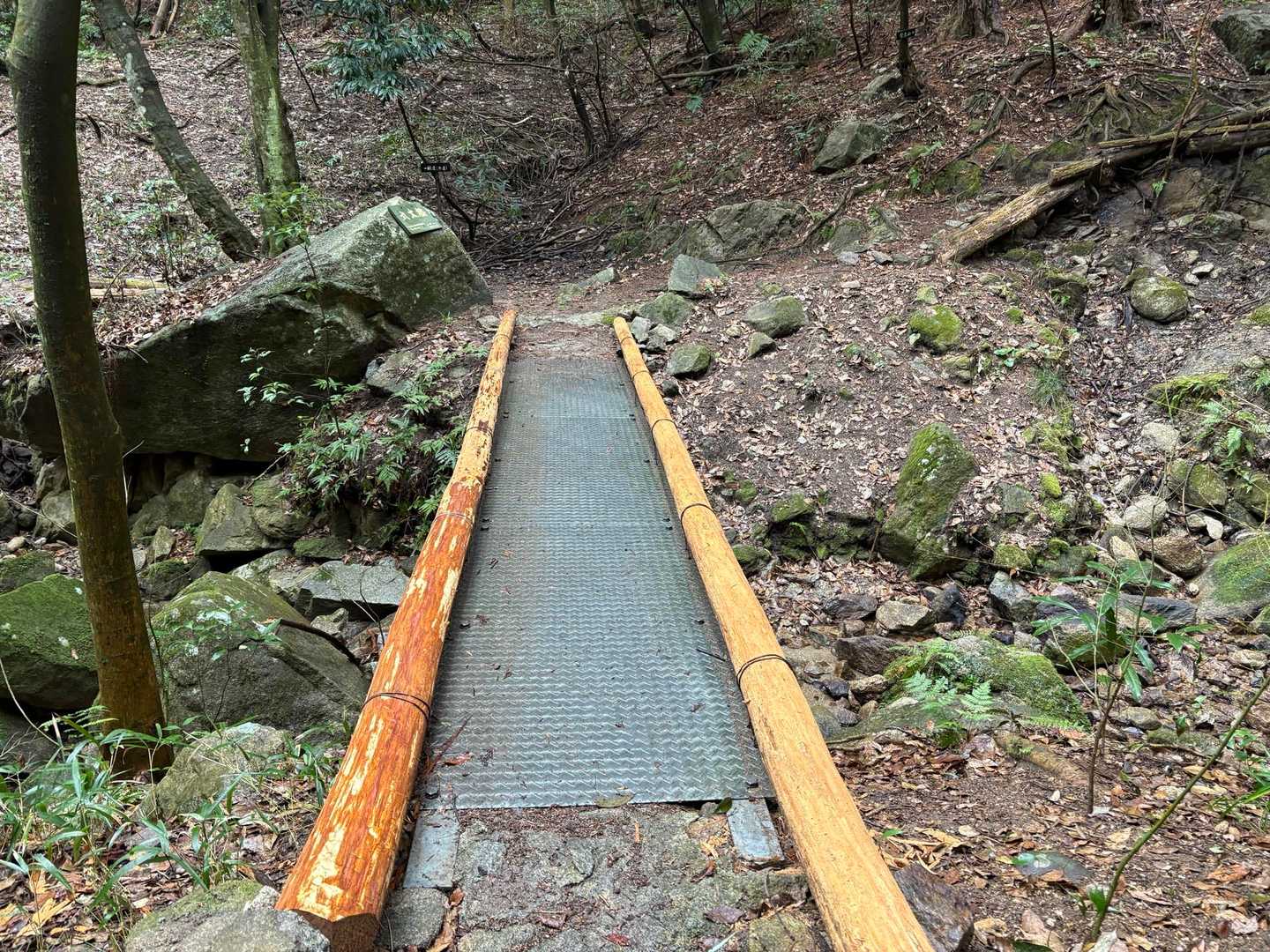 正現岳-金立山 周回コースの写真
