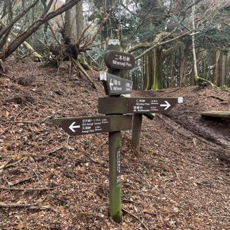 ここで人に会って少しほっこりした。
しかも海外の人。
んでランナー。
かっこいい。