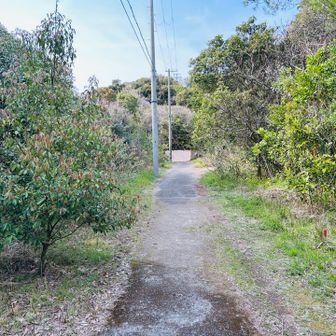 歩きやすくなる。