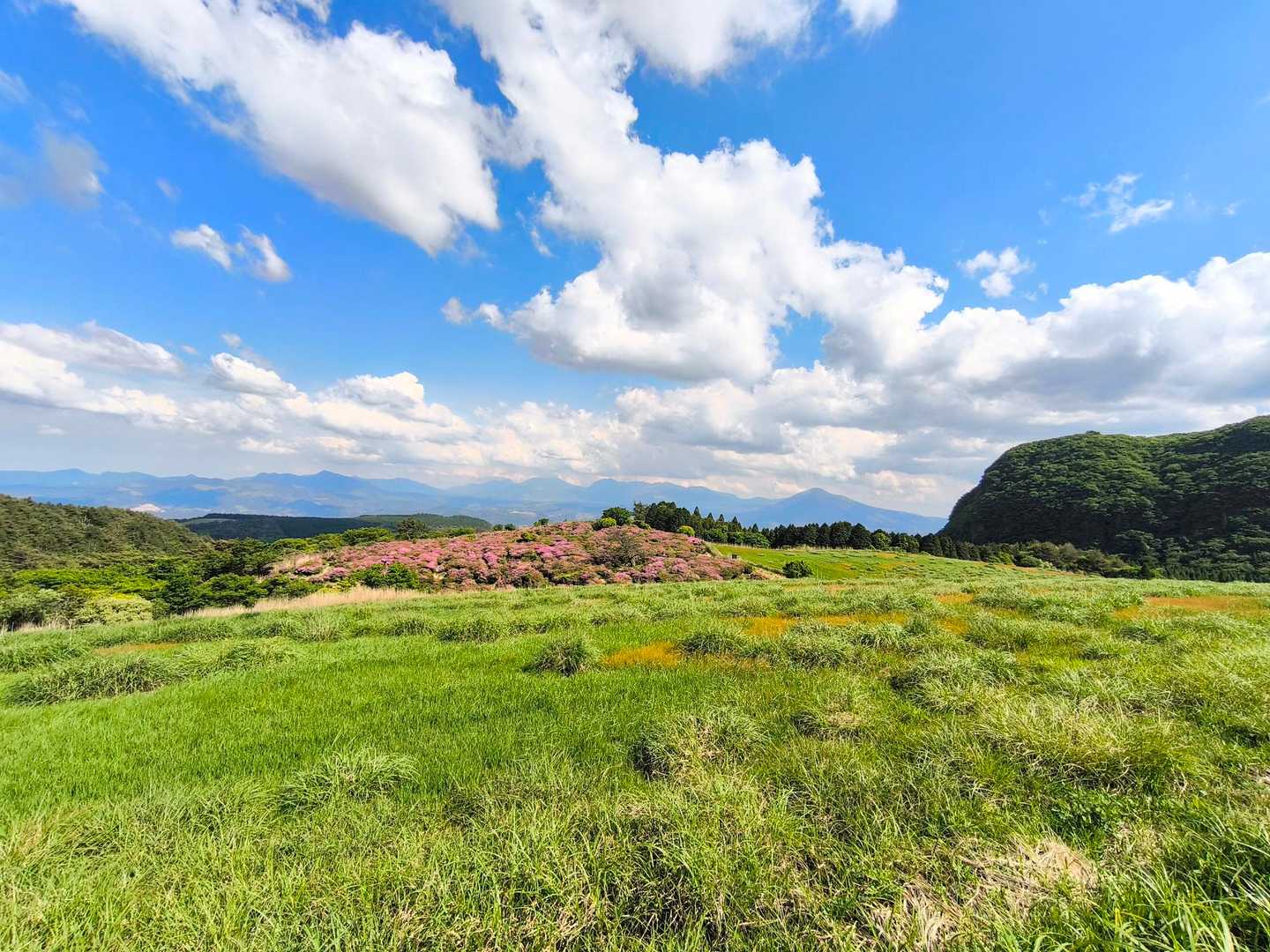 万年山周回 | 気持ちの良い草原とミヤマキリシマの絶景を手軽に楽しむの写真