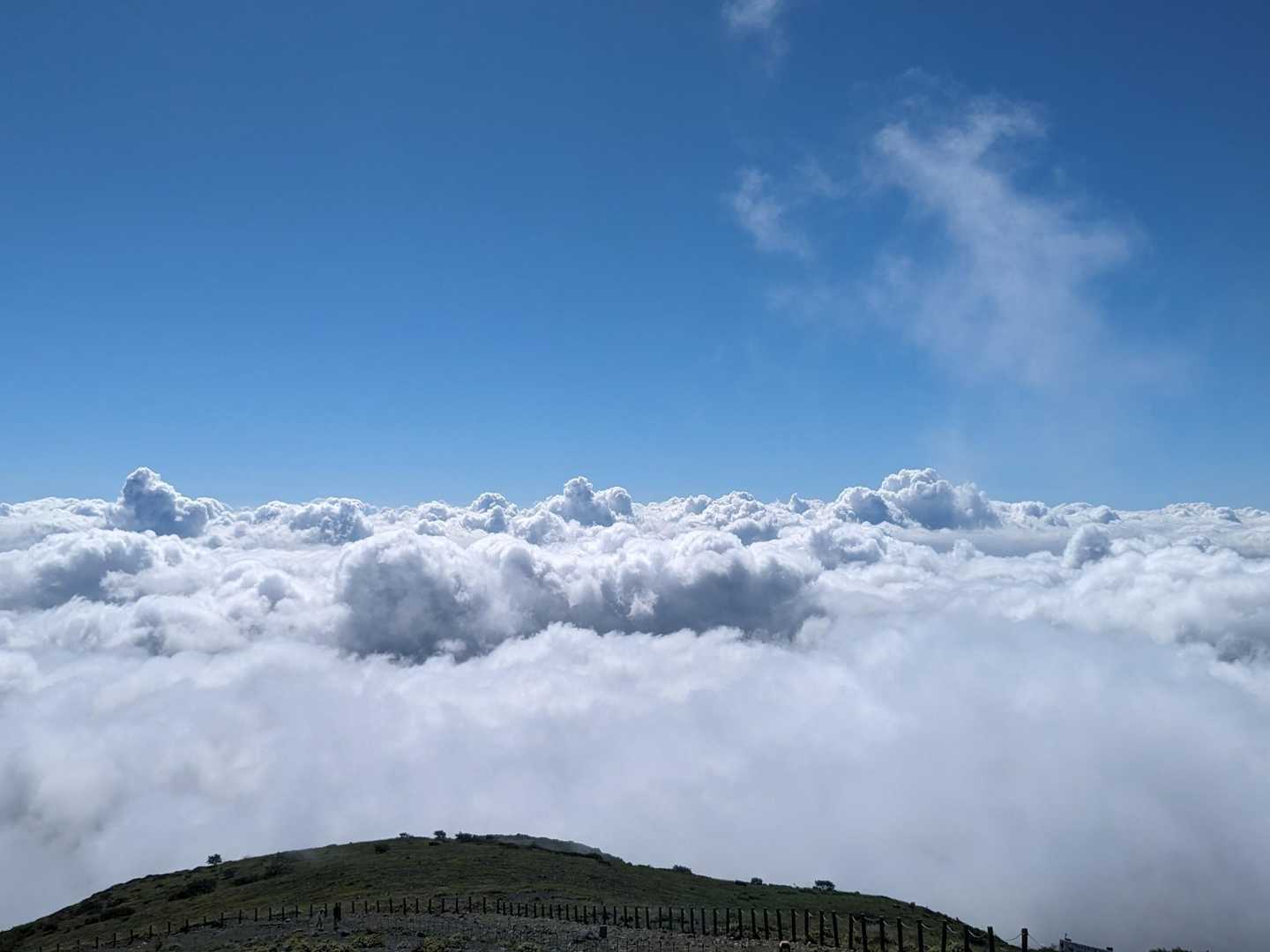 ありがとう、雲海。
