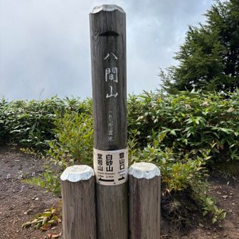 頂上に到着😊日陰がないけど、風があって気持ち良い。しばらく休憩