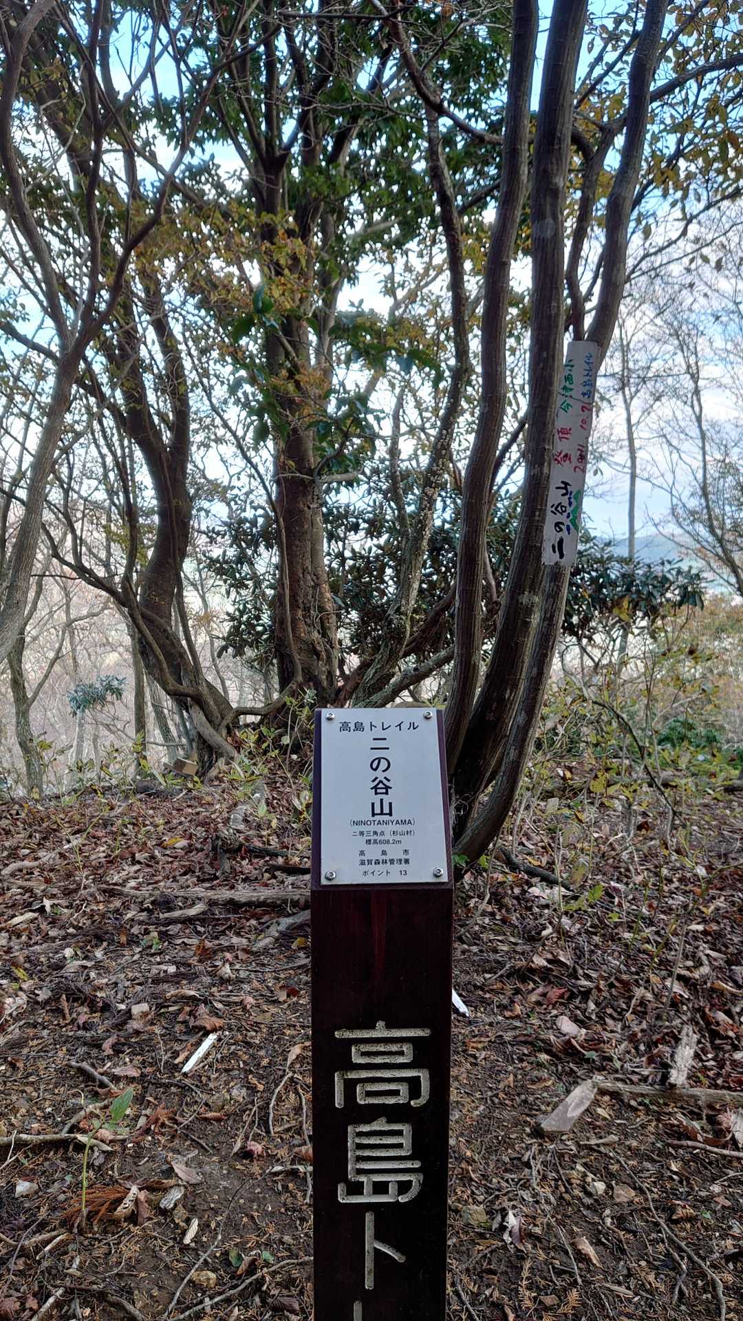 二の谷山の写真