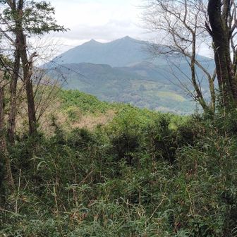筑波山が良く見えます。